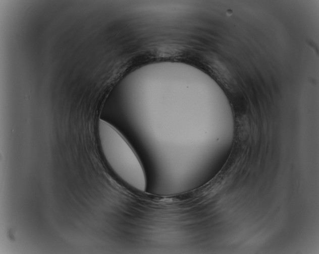 X0000094920269200711291029