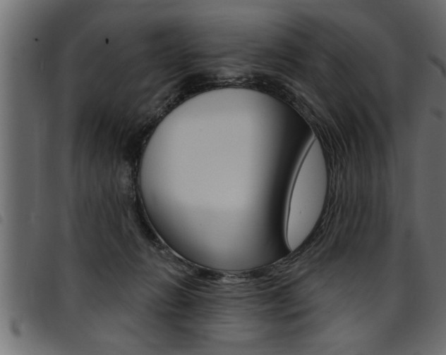 X0000094920270200711291029