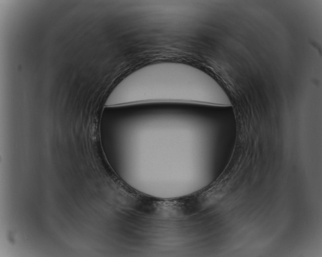 X0000094920273200711291029