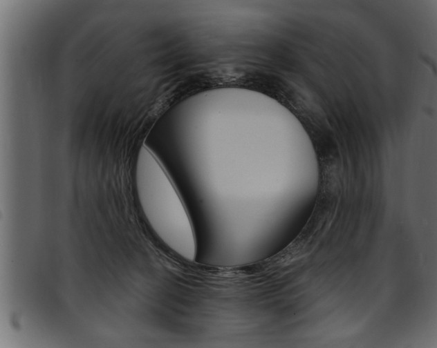 X0000094920274200711291029