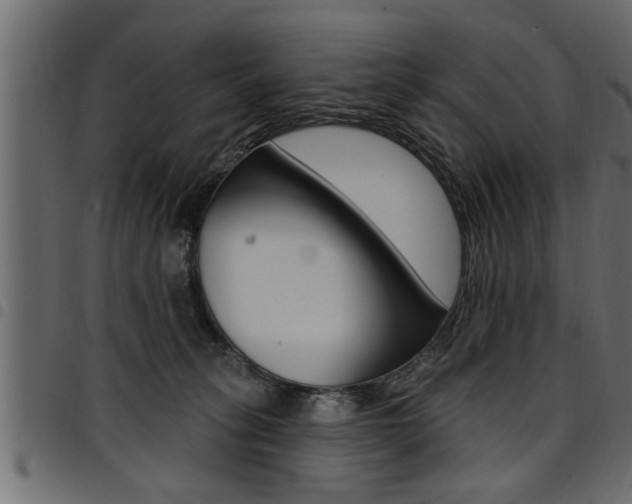 X0000094920275200711291029