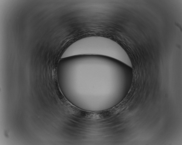 X0000094920276200711291029