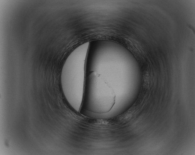 X0000094920278200711291029