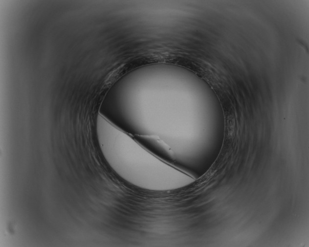 X0000094920279200711291029