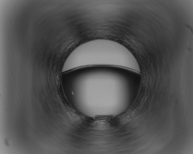 X0000094920280200711291029