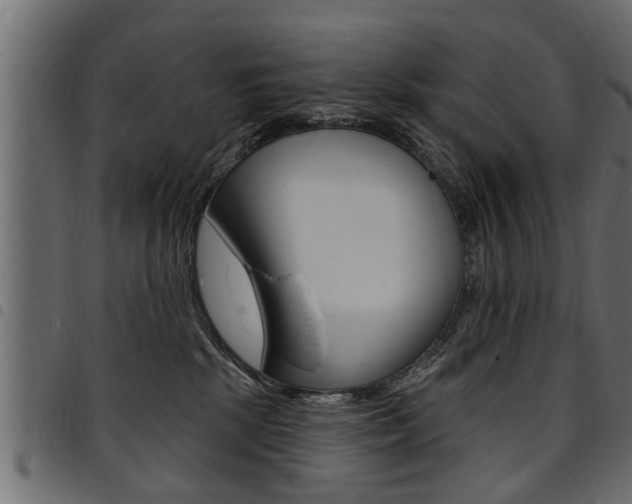 X0000094920281200711291029