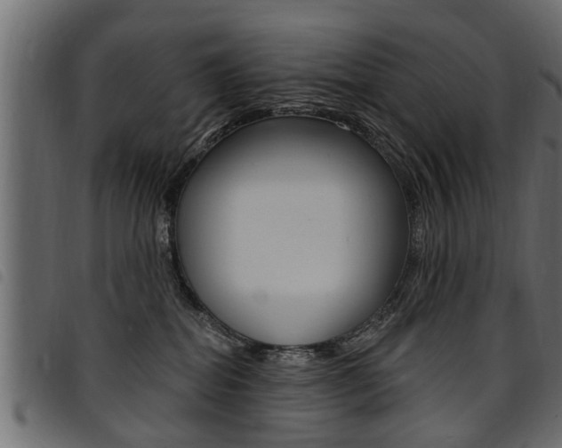X0000094920282200711291029
