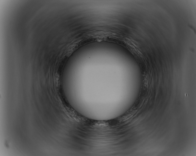 X0000094920283200711291029