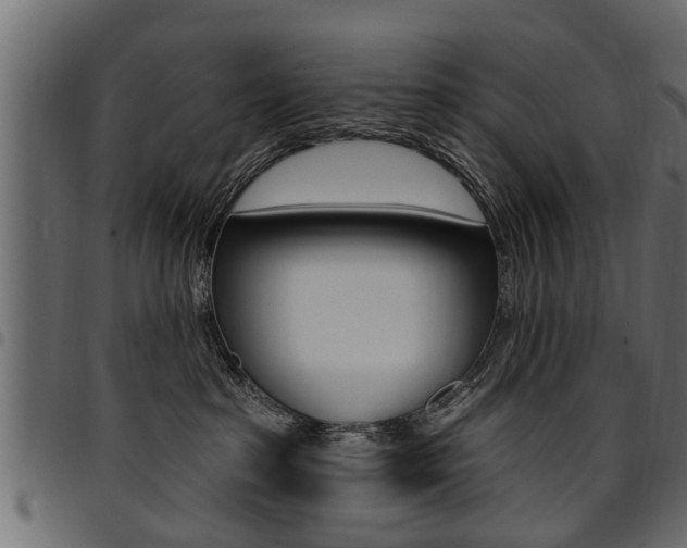 X0000094920285200711291029