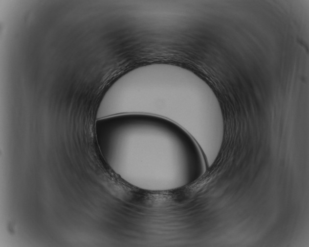 X0000094920286200711291030