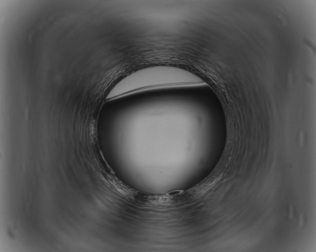 X0000094920288200711291030