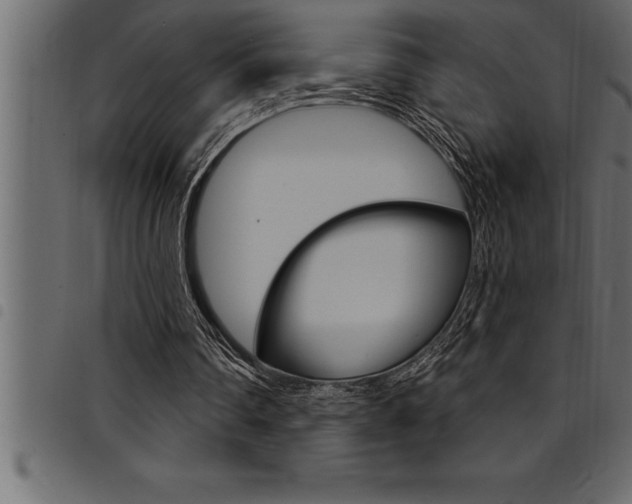 X0000094920290200711291029