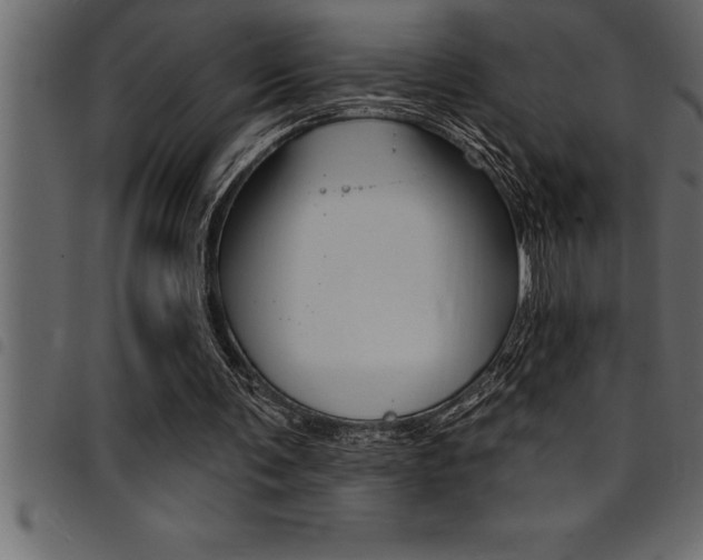 X0000094920291200711291029