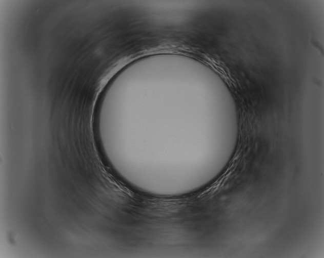 X0000094920292200711291029