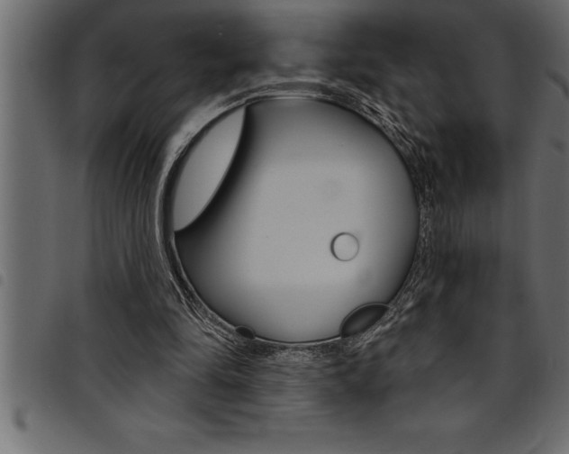 X0000094920294200711291029
