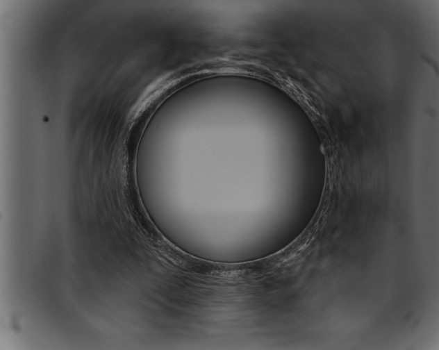 X0000094920295200711291029
