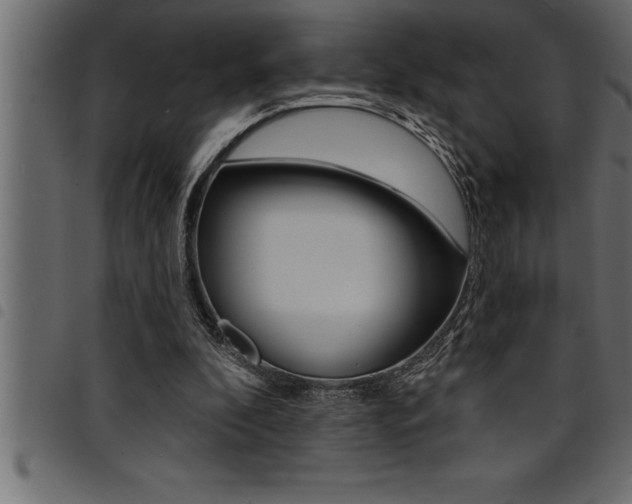 X0000094920296200711291029