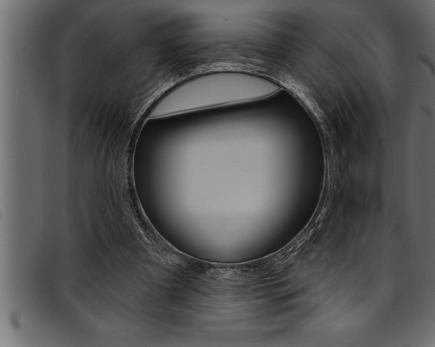 X0000094920297200711291029