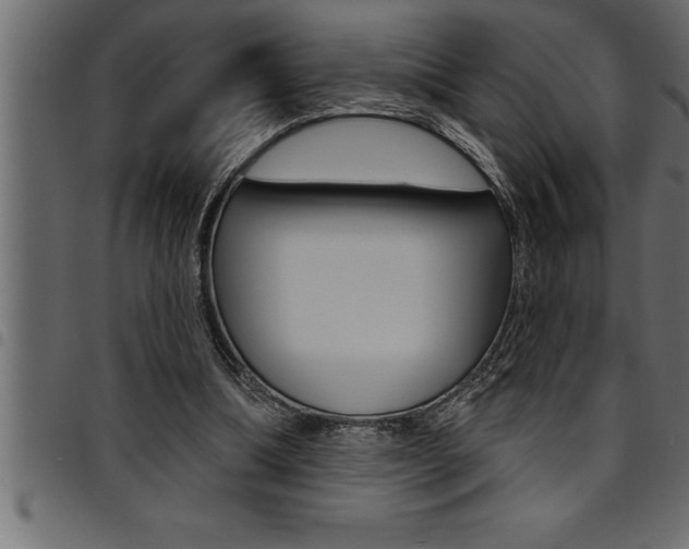X0000094920298200711291029
