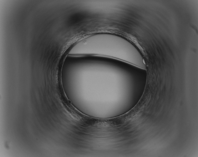 X0000094920299200711291029