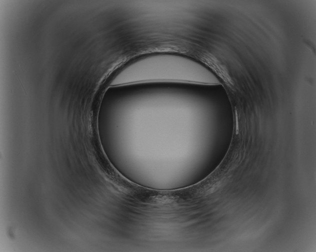 X0000094920300200711291028
