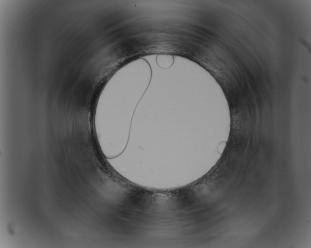 X0000094920302200711291028