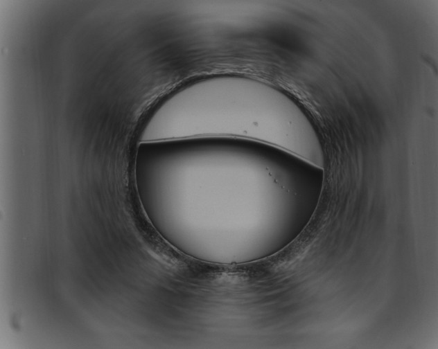 X0000094920303200711291028