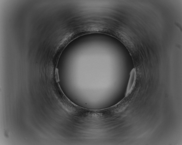 X0000094920304200711291028