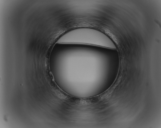 X0000094920305200711291028