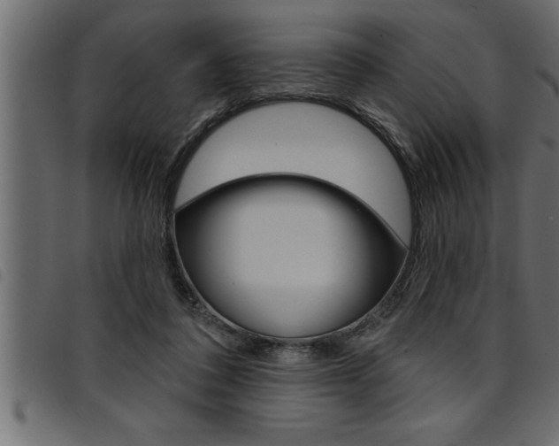 X0000094920308200711291028