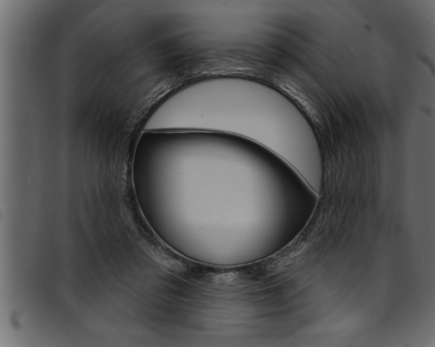 X0000094920309200711291028