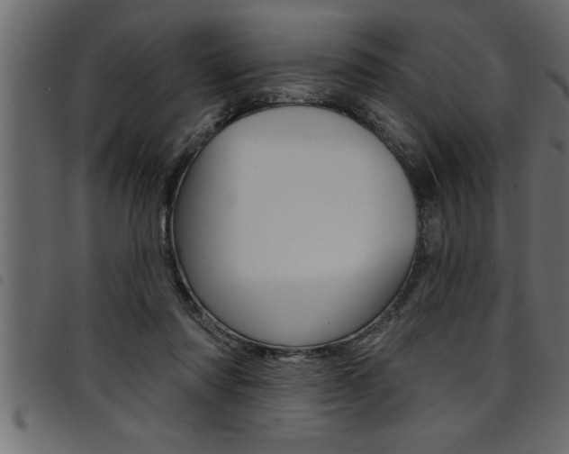 X0000094920310200711291028