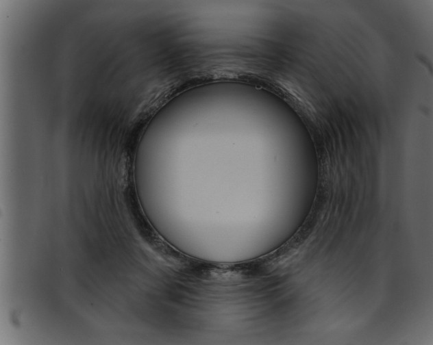 X0000094920311200711291028