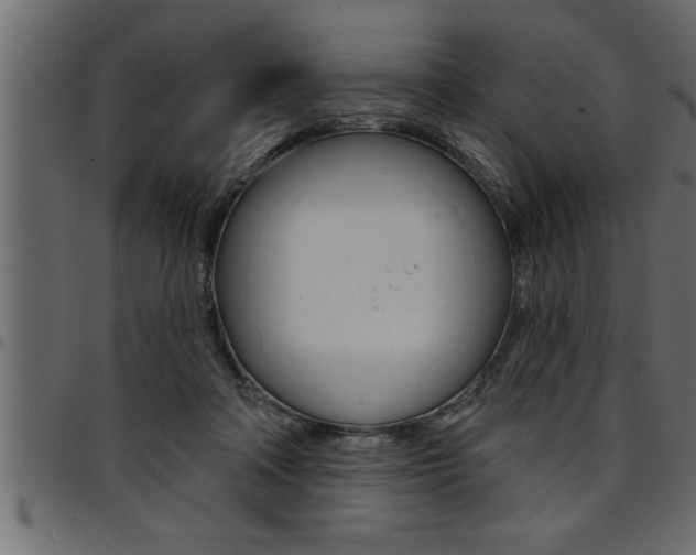 X0000094920314200711291028