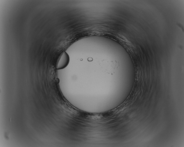 X0000094920318200711291028
