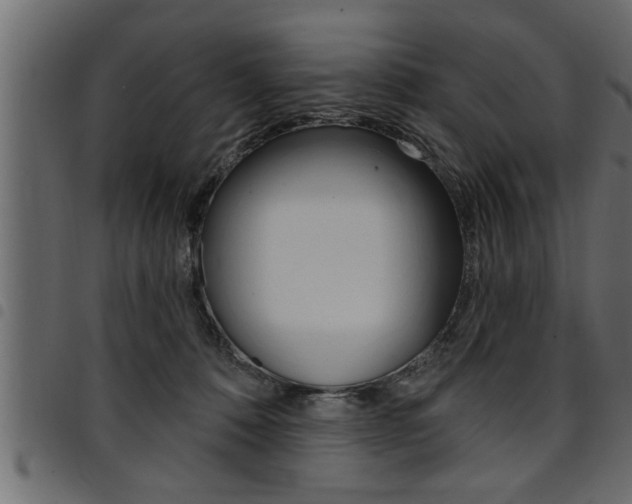 X0000094920320200711291028