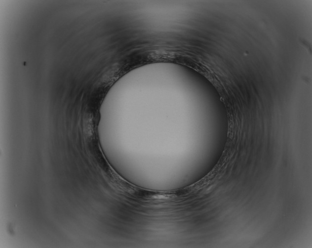 X0000094920323200711291028