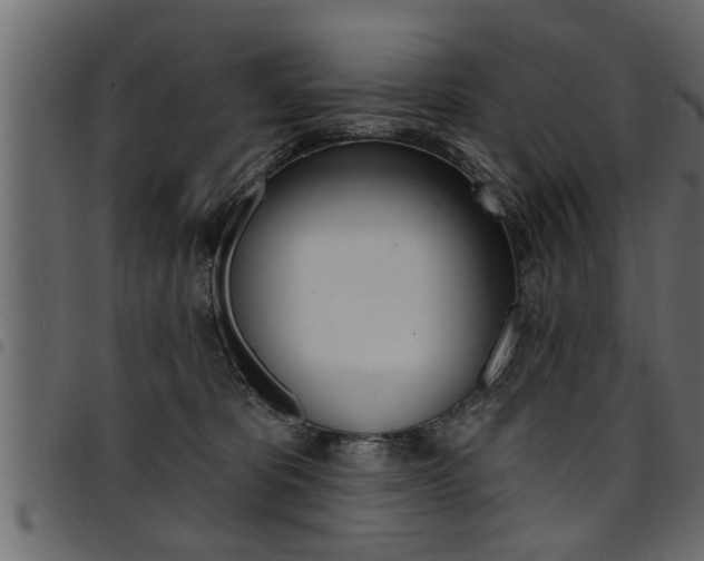 X0000094920325200711291028