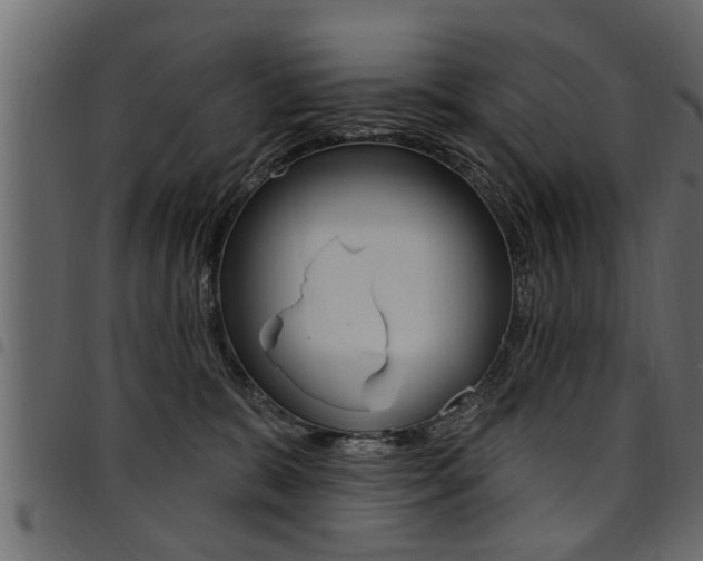 X0000094920327200711291028