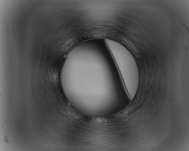 X0000094920329200711291028