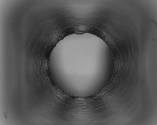 X0000094920331200711291028