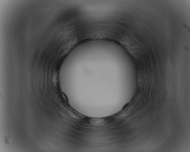 X0000094920334200711291028