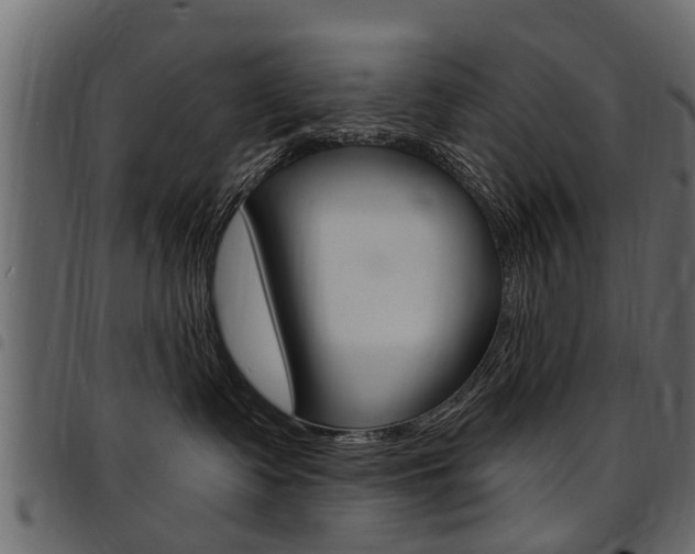 X0000094920335200711291028