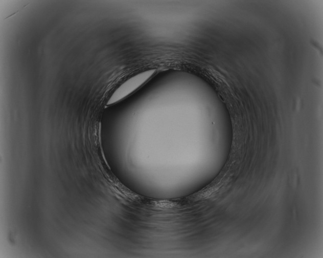 X0000094920336200711291028