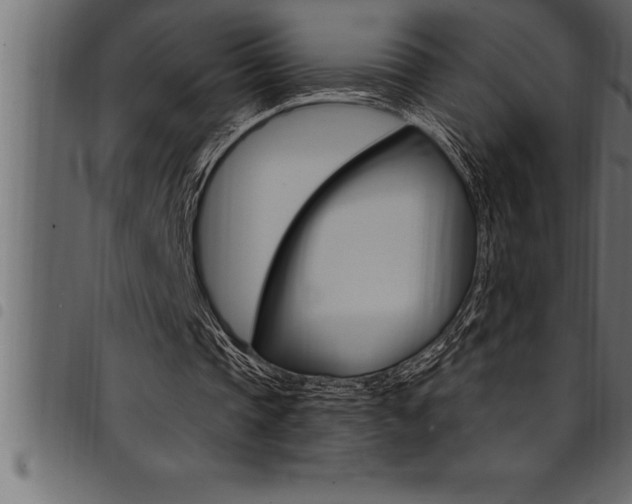 X0000094920337200711291027