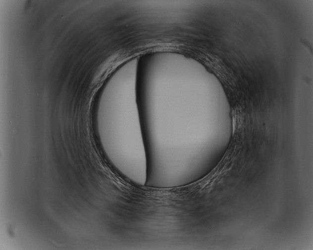 X0000094920339200711291027