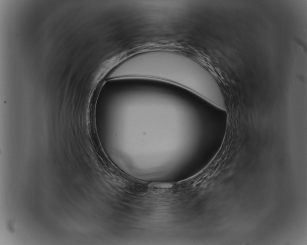 X0000094920340200711291027