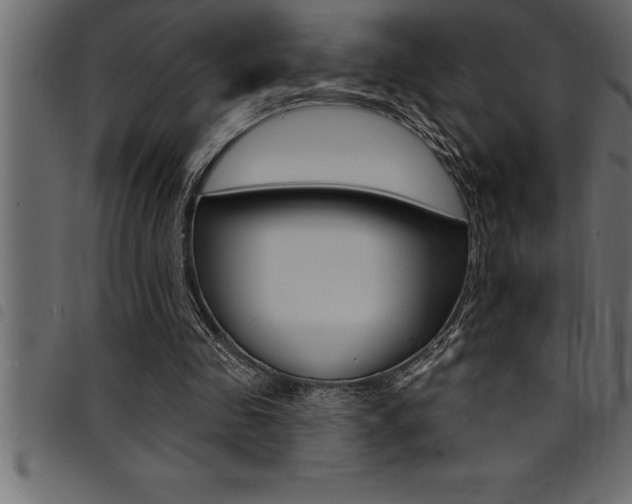 X0000094920341200711291027