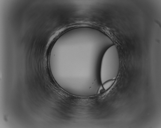 X0000094920342200711291027
