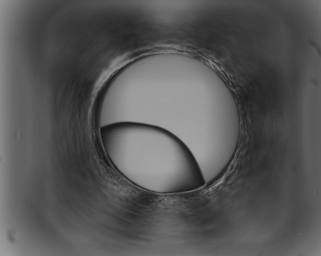 X0000094920343200711291027